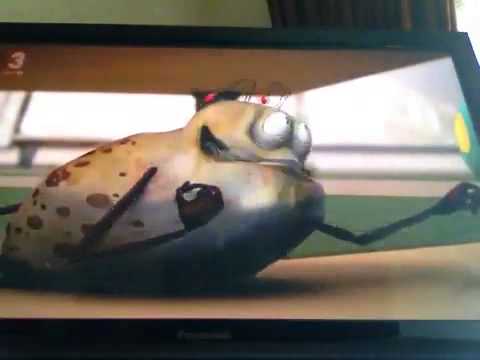 Erky perky Buggy Bug Buggleson