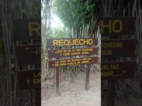 Tanano Genio Loreto Corrientes