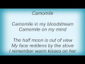 Luka Bloom - Camomile Lyrics