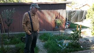 diatomaceous earth and soil death