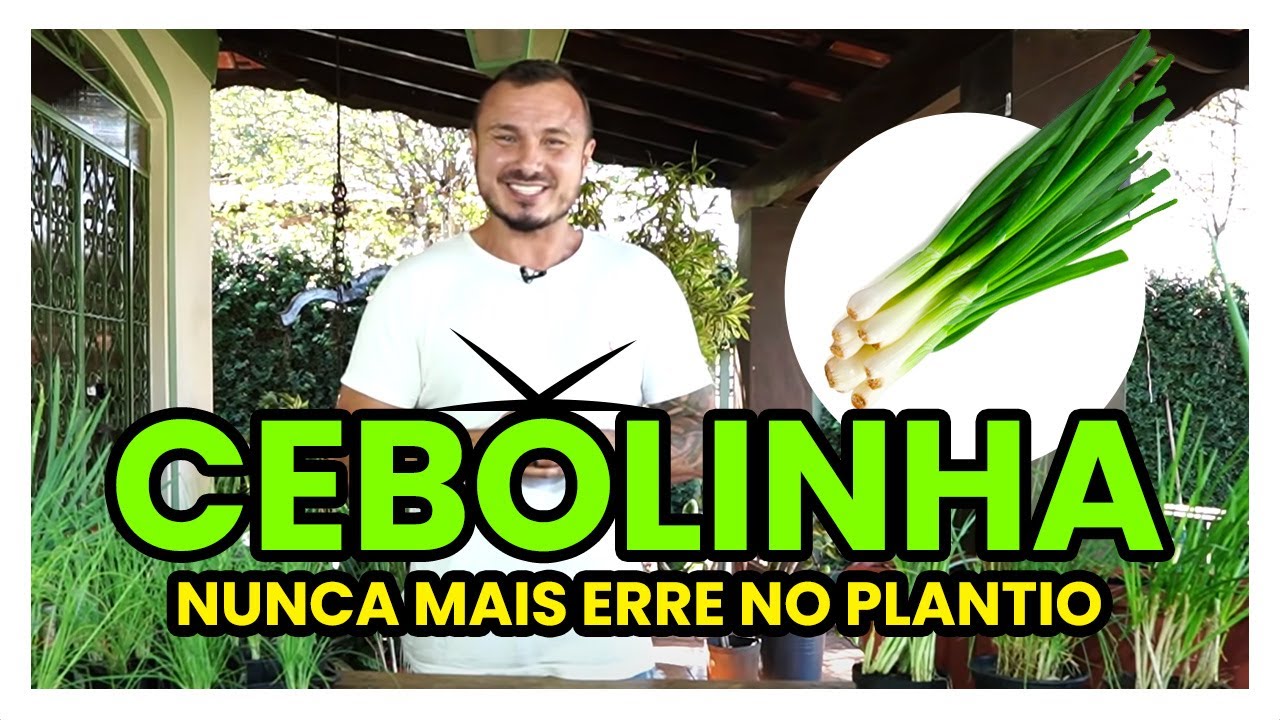 NUNCA MAIS ERRE NO PLANTIO DA CEBOLINHA EM VASO