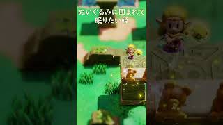 ぬいぐるみ好きな姫【ゼルダの伝説 知恵のかりもの】