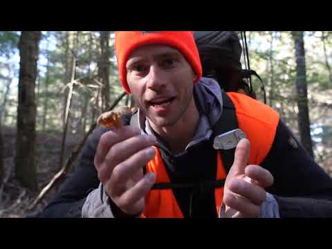 Surviving   50   Hours Under a Rock with No Food