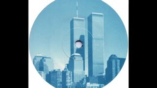 A.D.N.Y. & Vincenzo  -  Ladyblue