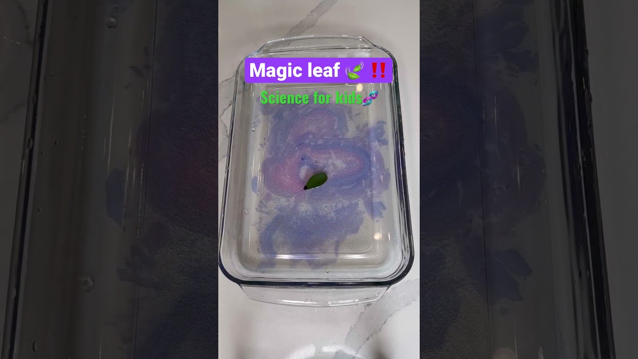 Magic swimming leaf 🪄🍃 with science!! STEM Activities for kids! #scienceexperiment #scienceiscool