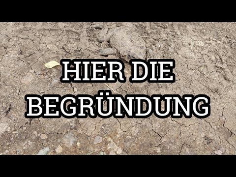 [Spar Dir] dein Mitgefühl für [Narzissten]!