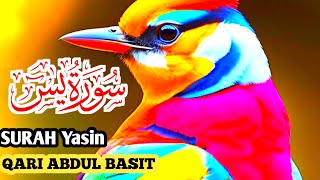 Most beautiful recitation of Surah Yaseen (Yasin) سورة يس| Episode 13