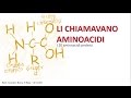 AMINO ACID SONG - Li chiamavano aminoacidi ...