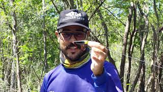 Pugachev's Cobra 60 -