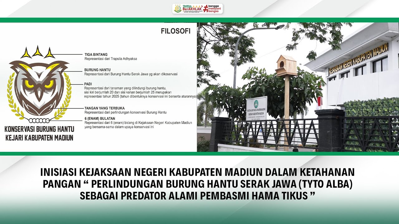 INISIASI KEJAKSAAN NEGERI KABUPATEN MADIUN DALAM KETAHANAN PANGAN “PERLINDUNGAN BURUNG HANTU SERAK JAWA (TYTO ALBA) SEBAGAI PREDATOR ALAMI PEMBASMI HAMA TIKUS”