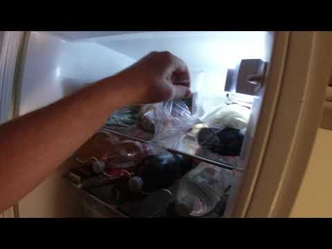 MongoTV_9391 - LIDL Haul 206 Kroner - SLIK - COLA - BRØD - På Shoppe KREDIT og AFDRAG