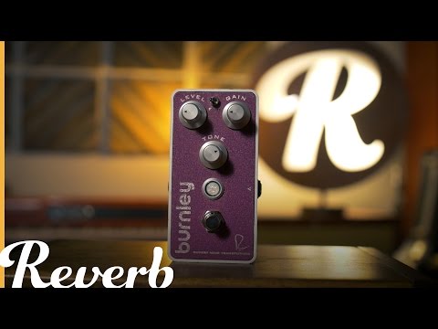 Bogner Burnley Classic Distortion - Rupert Neve Designs Trasformer image 3