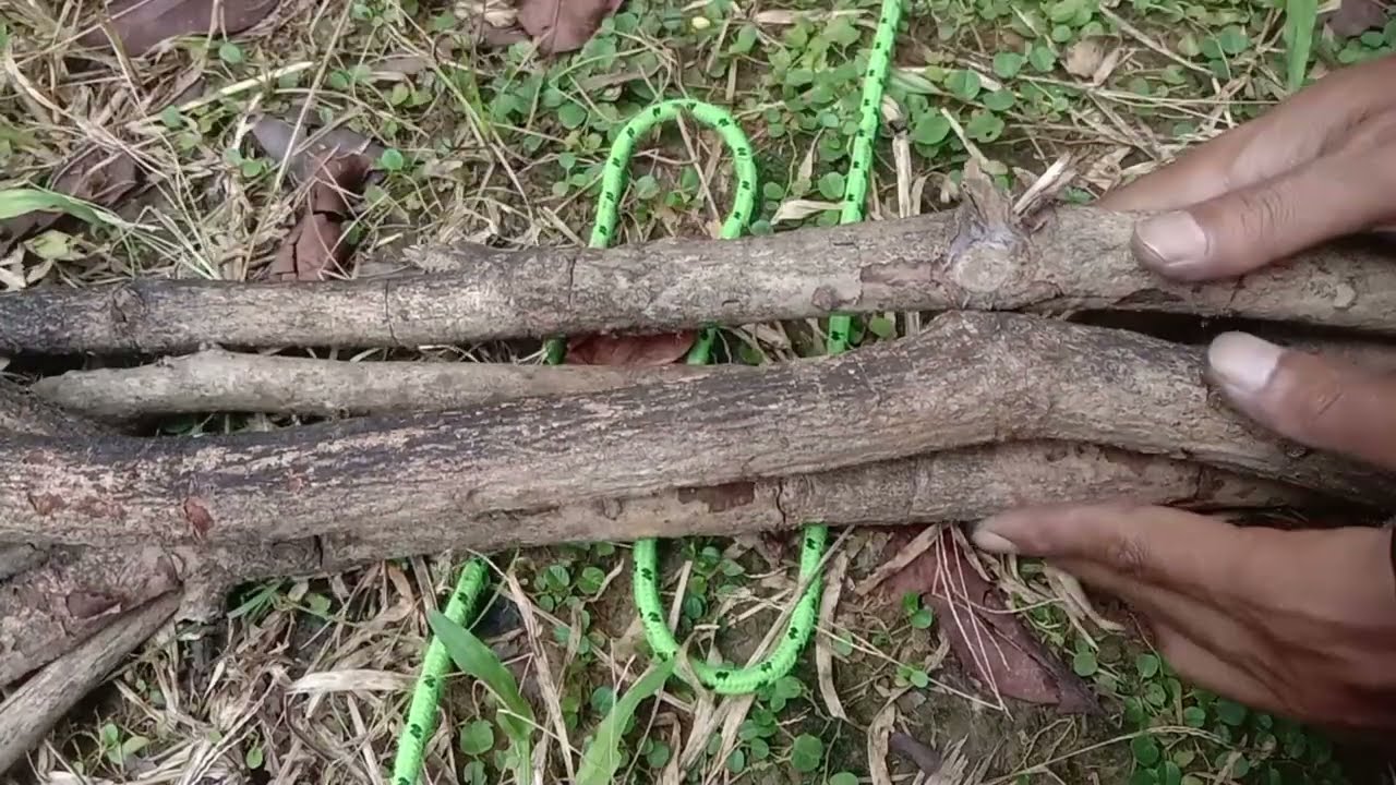 Practical knots for bundling firewood