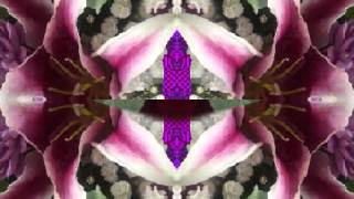 Cold War Country Blues (by the Bap Kennedy Trio live in Italy, 2014)