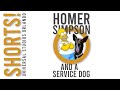 Love The Simpsons Love Dogs You Don T Want To Miss THIS Universal Studios Orlando Shorts