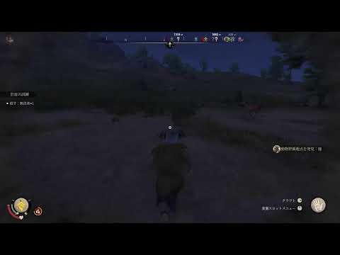 戦国ダイナスティ