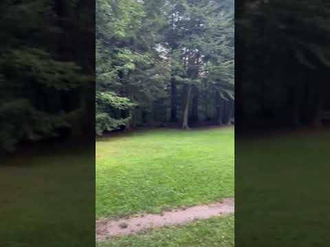 Picnic area 360 view