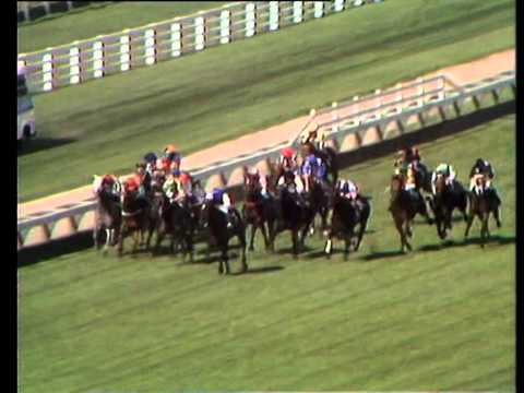 Grey Way - Racing Hall of Fame