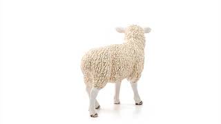 Schleich Ovca