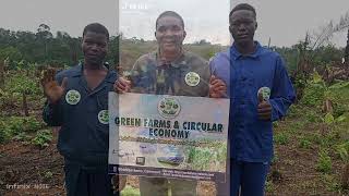 LAND Solutions Stores