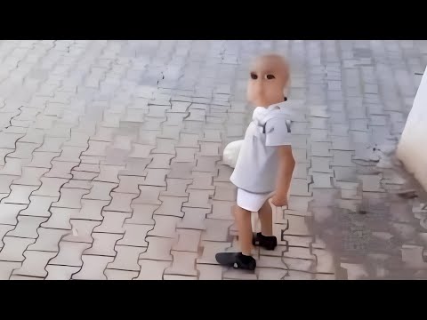 try not to laugh impossible 