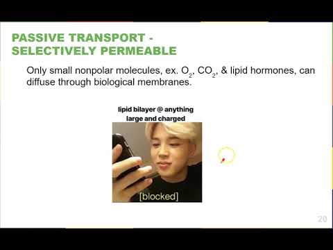 Chapter 5 Structure and Function of Plasma Membranes