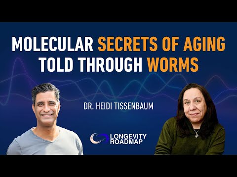 Molecular Secrets of Aging Told Through Worms w/ Dr. Heidi Tissenbaum