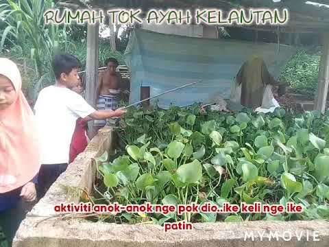 I love kelate...