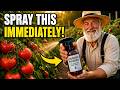 SPRAY Hydrogen Peroxide on Every Tomato Now — The Amish Secret the Garden Industry Hid From You DEFAULT Thumbnail
