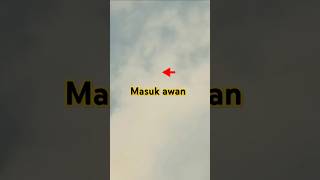 Download lagu Begini gaya terbang merpati endemik terbang tinggi menembus awan #shorts mp3
