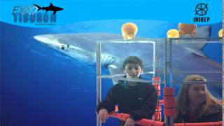 DIA 3 Expo Tiburon119