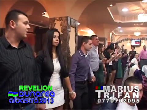 Revelion Dunarea Albastra 2013 - Damian Conac 2013 Revelion - 01