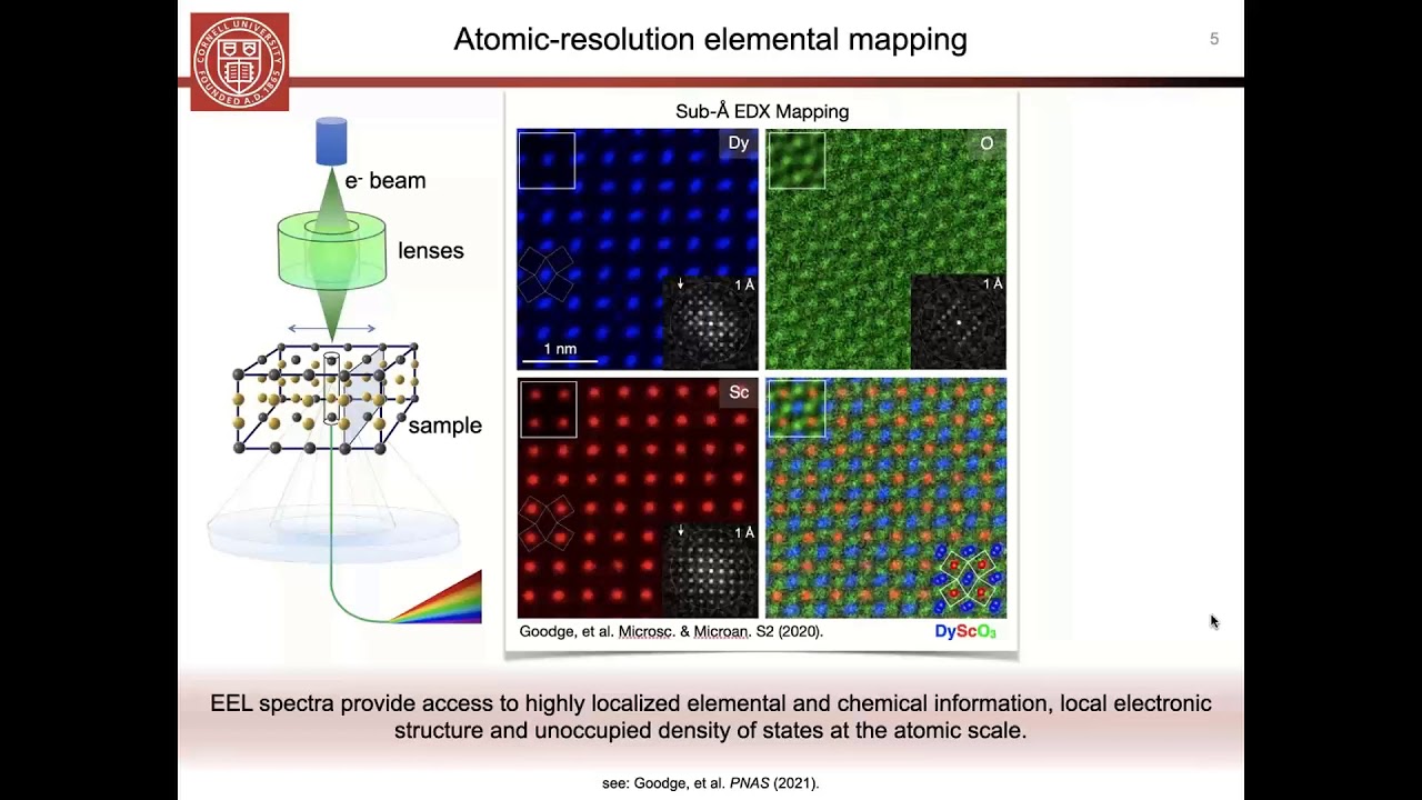 Instrumentation improvements for rapid in-situ EELS