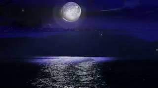 I&#39;m Sorry | John Denver (432Hz) 1975 Lyrics on Screen