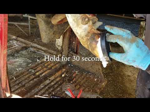 Slide 2 - Vettec Bovi Bond Block Adhesive 210cc  (video)