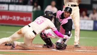 🔥周東が魅せた“神ホームスチール”がヤバすぎる！⚡奇跡の瞬間#プロ野球 #ソフトバンクホークス #周東佑京 #ホームスチール #神走塁 #柳田悠岐 #野球ハイライト #NPB #奇跡のプレー #野球好