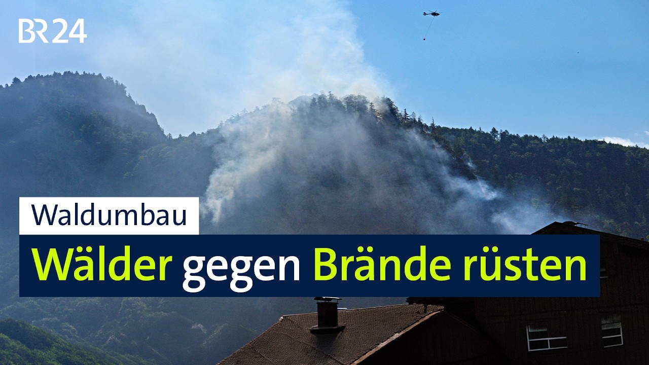 Waldbrandschutz durch Umbau | BR24