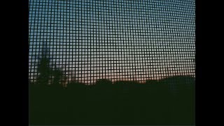 NO Blues - Black Cadillac - Türkçe Altyazılı