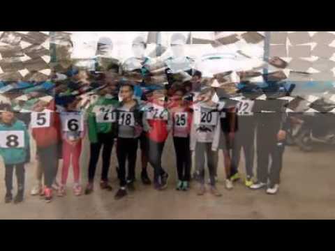 voley  femenino y masculino