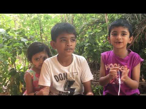 Happy birthday anushree wishes from little yougstars