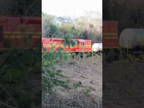 Trem tanqueiro da rffsa passando pelo sítio castanha velha sentido Guarabira PB, reprodução por IA