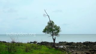 A Calm and Beautiful Seashore at Mayabunder in Andaman and Nicobar Islands