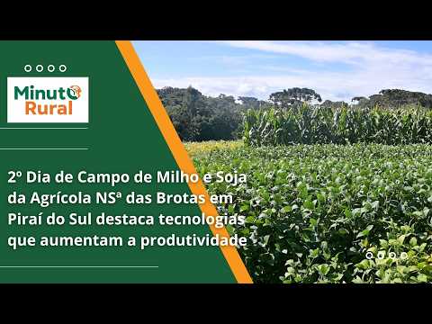 2º Dia de Campo de Milho e Soja  em Piraí do Sul destaca tecnologias que aumentam a produtividade
