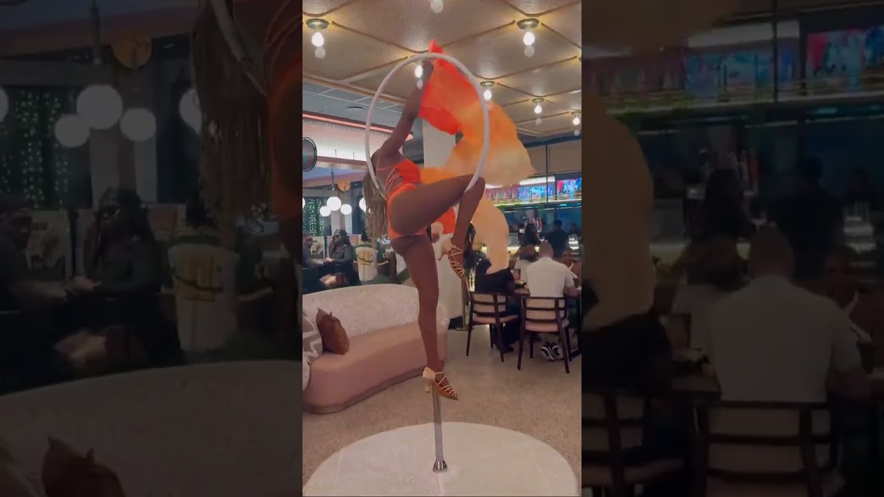 Promotional video thumbnail 6 for Finesse Aerial Entertainment