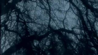 Shinjuku Thief - The Year of Silence
