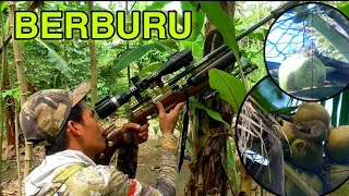 Download lagu BERBURU TUPAI PEMAKAN KELAPA,,  CEK SPOT BABI HUTAN mp3
