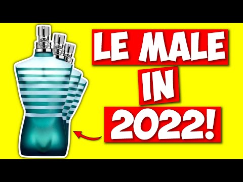 JEAN PAUL GAULTIER LE MALE 2022 | Lohnt sich der Kauf heute noch?