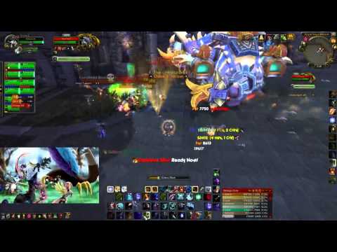 Fury vs Horridon 10 Man (US-Firetree) - Hunter PoV
