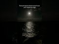 Never Set High Expectations Minidora Shorts Shortvideo Shortsyoutube