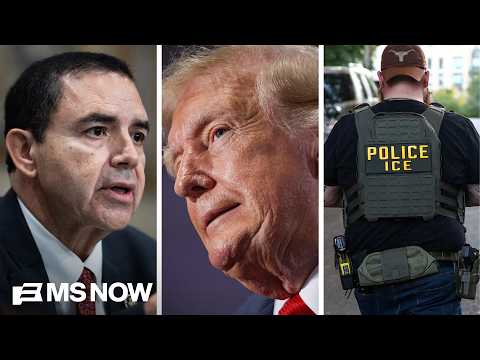 Rep. Cuellar: Texas Latino voters have 'buyer's remorse' with Trump after ICE 'overreach